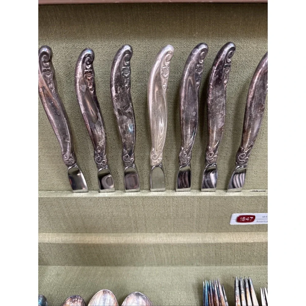 1847 Rogers Bros Vintage 1961 Silver Plate Leilani 43 Pc Flatware Set For 8 Read